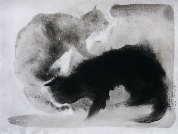 frederic-belaubre-two-cats-
